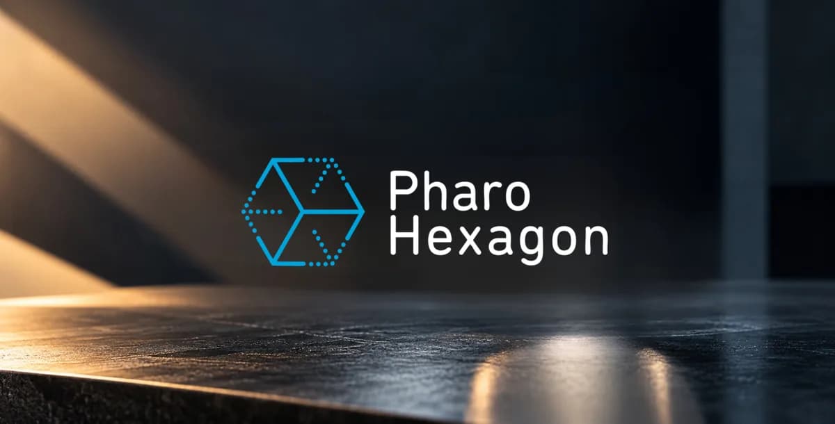 Opinia klienta: Pharo Hexagon Sàrl
